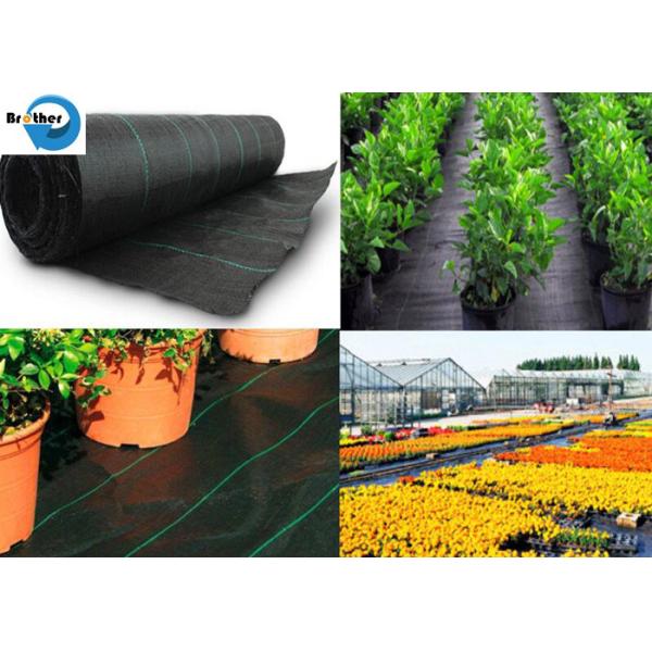 PP/PE/Plastic Woven Agricultural Garden Ground Cover/Geotextile/Anti Weed Control/Barrier Fabric