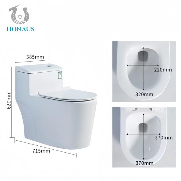 Dual-Flush Single Piece Commode with S/P Trap Drainage Pattern