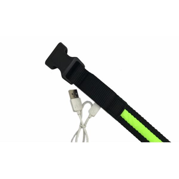 Wholesale waterproof usb rechargeable led dog collar