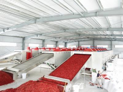 Automatic Cycle Flip Chili Dryer Machine Ensure Uniform Heating Inside And Outside