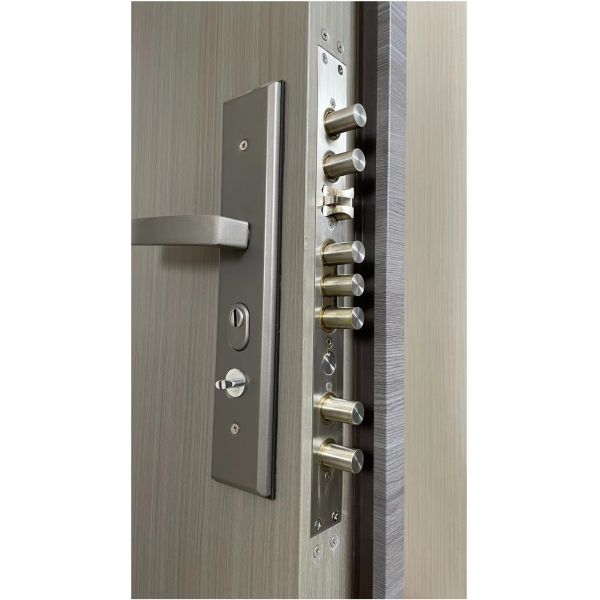 Durable Residential Modern Steel Security Door Anti Theft Main Entry Door