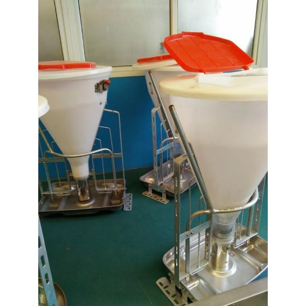 Acier inoxydable et conducteur automatique en plastique de porc, conducteurs secs humides de porc