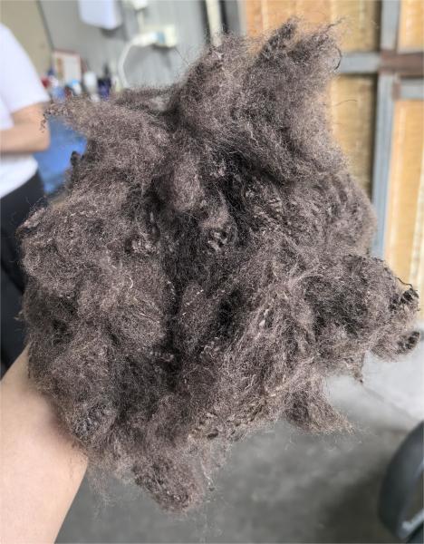 Recycled Polyester Staple Fiber 6D 64mm Dark Coffee Brown