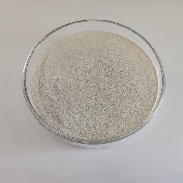 Enzyme catalase de qualité alimentaire en poudre liquide à haute concentration