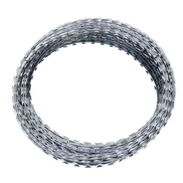 Special Hot Selling  2023 Hot Selling Electric / Hot Dipped Galvanized Razor Barbed Wire Bulk Concertina Wire Mesh Price
