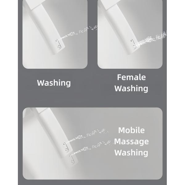 Luxury Smart Intelligent Toilet Premium Ceramic Aroma System Modern Auto Flush