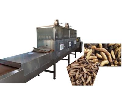 Microwave Electricity Microwave Black Soldier Fly Larvae Dryer Machine