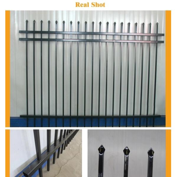 Powder Coated  Steel Trellis Fence , Garden Palisade Fencing For Decoration