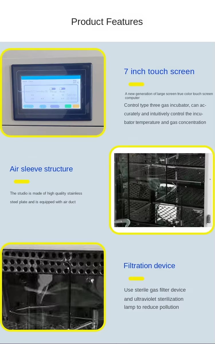 Professional 50L-200L Laboratory Tri-gas Incubator O2 Control 1-95% CO2 Control 0-20%Temp Range Rt+3~60°C for Cell Culture