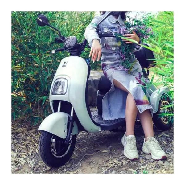 Front/Rear 3.00-8 Vacuum Tires 1600*750mm Adult 3 Wheel Electric Tricycle for Turkey