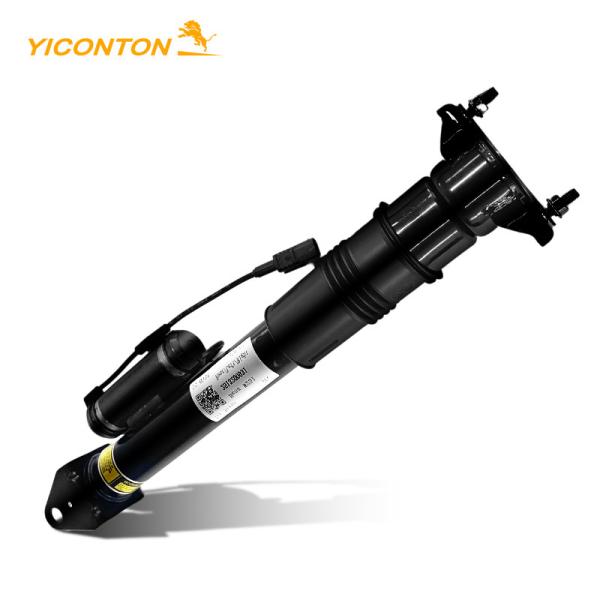 2513200931 Air Suspension Strut For Benz Mercedes R500