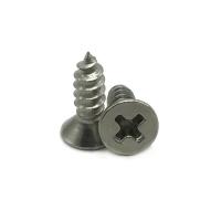 Parafusos de autoapertura 2205 2507 de acero inoxidable zincado M8 de 5 mm de pared seca parafusos de cabeza plana