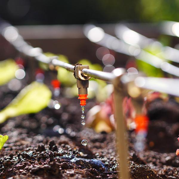 Sistema de irrigação poli da estufa do gotejamento para a exploração agrícola hortícola