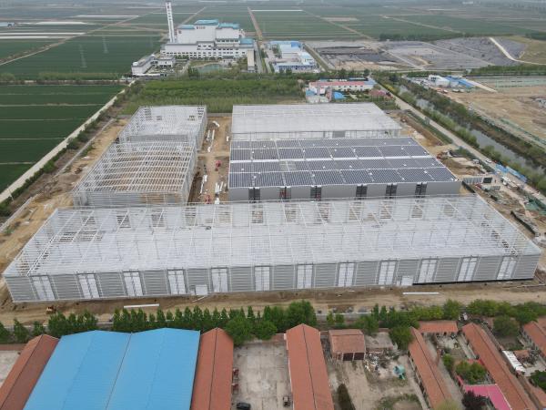 Prefabricated Steel Structural Building and Steel Frame Building Applications in Multi-Field Construction, Industrial, Commercial, and Residential Sectors