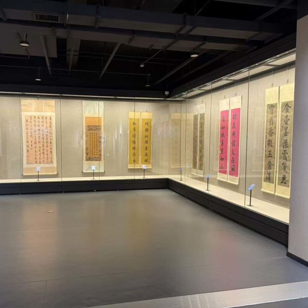 Adjustable Wall Display Cabinet Easy Installation Dust Free For Exhibitions