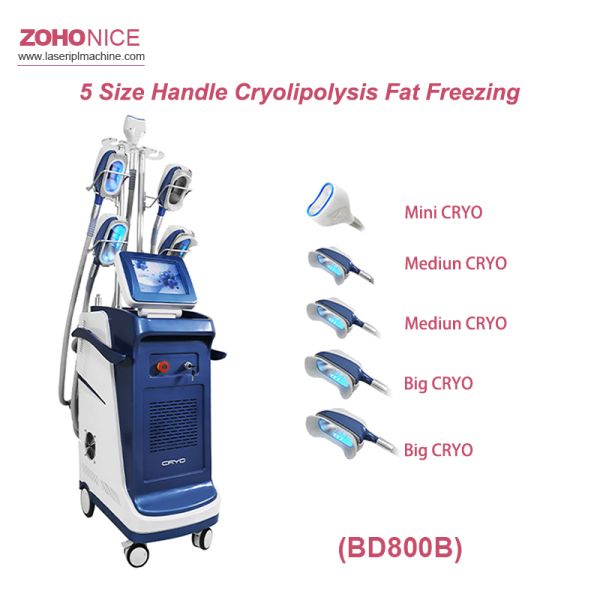 5 Size Handle Portable Cryolipolysis Machine For Salon Use