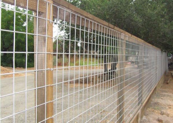 4x4 Galvanized Welded Wire Mesh Panels 14 Gauge 2m Length Hog Wire Fence Panels