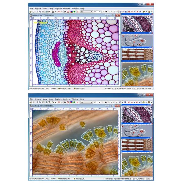 USB 2.0 Digital Camera Microscope Microscope Accessories A59.2208