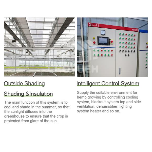 Multi Span Film Hydroponic Garden Greenhouse 10X30m Customizable