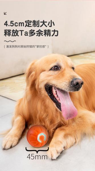 Ultra-Quiet Pet Toy Balls - Perfect for Cats and Dogs