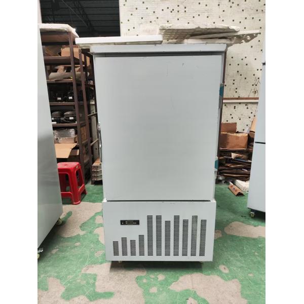 10 Trays Blast Freezer Commercial Cold Refrigerator -40 Degree Low-temperature