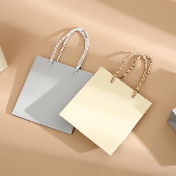 Paper Shopping Bags Premium Gift Packaging Handbag For Jewelry Box 