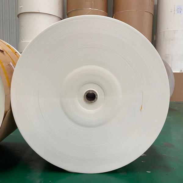 o PE 170g de 500mm revestiu a matéria prima 100% de papel da polpa de madeira do Virgin do rolo