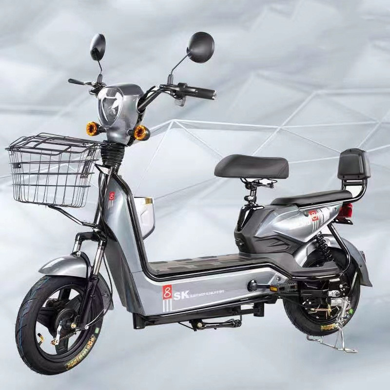 009 48V Green Electric City Bike 3 Hours Charging Time