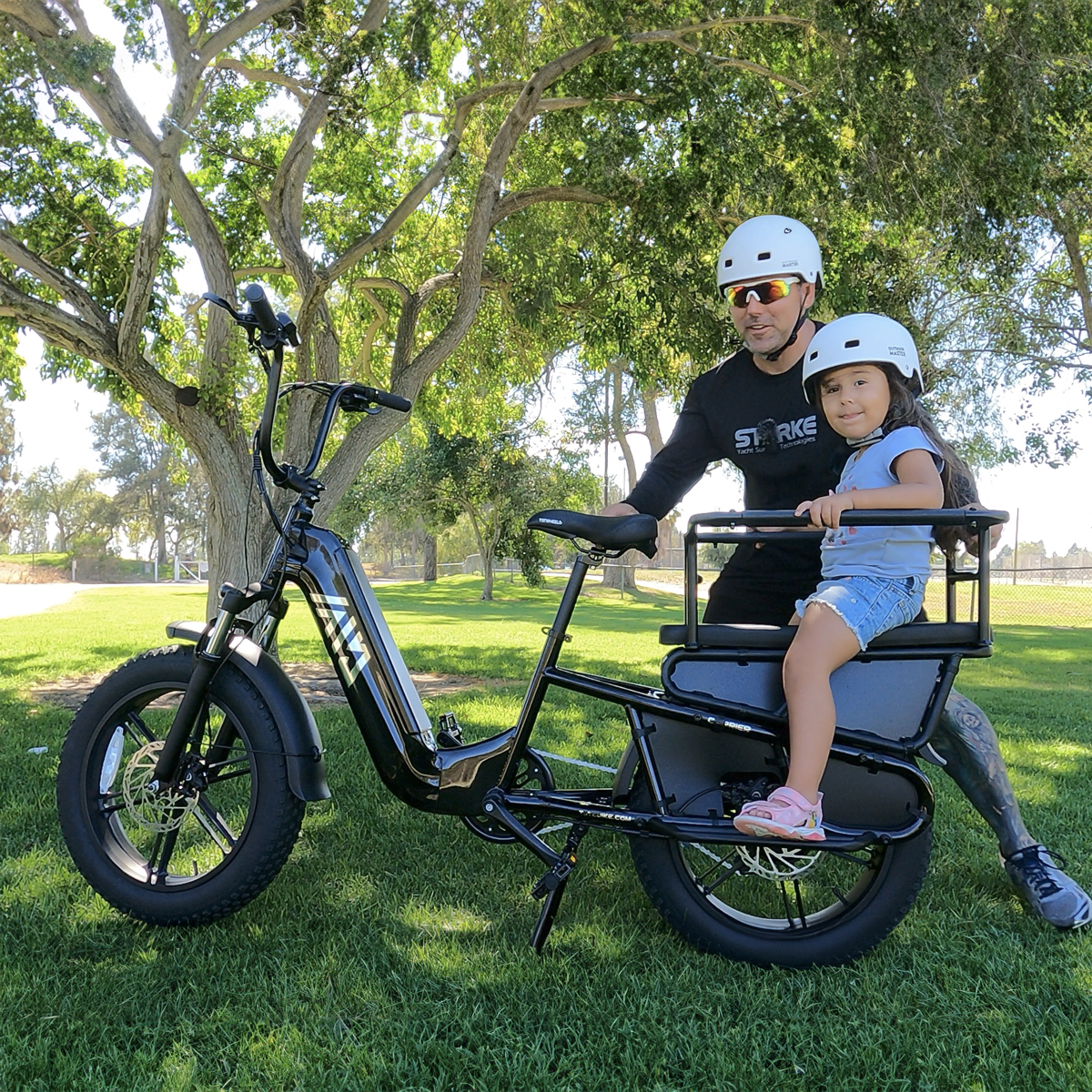 Hot Sale Carbon Steel Frame 7-Speed Double Lithium Battery 20 Inch Hydraulic Disc Brakes 48V/250W Rear Hub Motor Cargo Bike