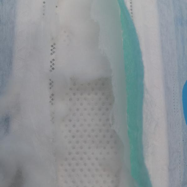 Serviços higiénicos e natural de senhora Serviços higiénicos para 270mm comprimento pad feminino