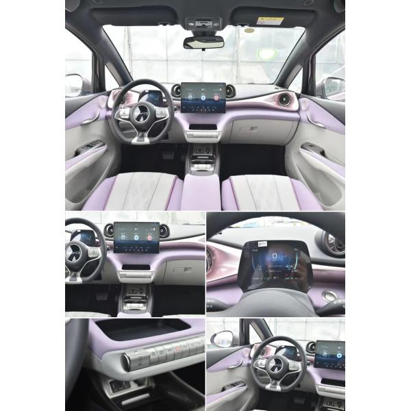 Dongfeng Geely Yutong Bus Prices Byd Haitun Dolphin Electric Vehicles for High Efficienc
