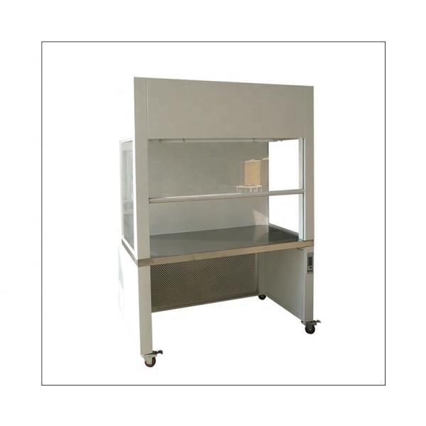 SUS304 30KG Clean Bench Cabinet Laminar Flow Hood Clean Room Laboratory Equipment