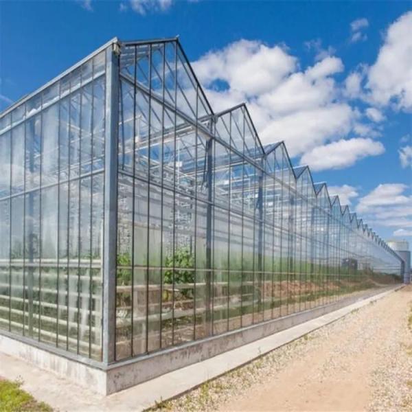 Outdoor Backyard Greenhouse Large Prefabricated Greenhouse Structures Customized Size Aluminium Glass Green House Thermal insulation