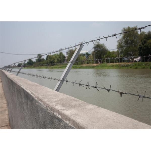 Single And Double Strand Fence Bwg10 Security Barbed Wire