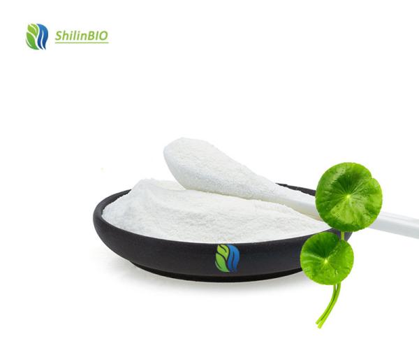 Gotu Kola Extract Powder 10% Triterpenoids