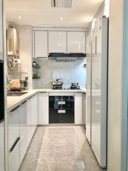 Contemporary Modern Style Two Tone Slab Panel Dark Kitchen Cabinet