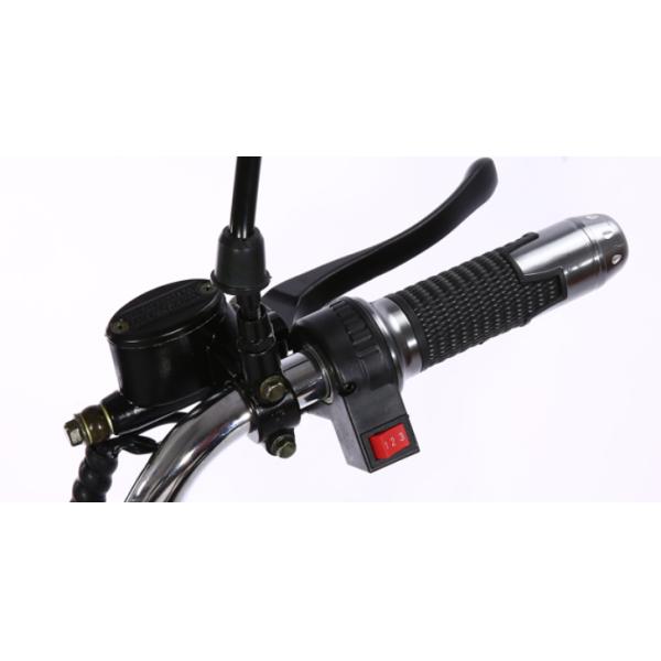 Fat Tire Harley Citycoco Electric Scooter 2000w 2 Wheel Long Range