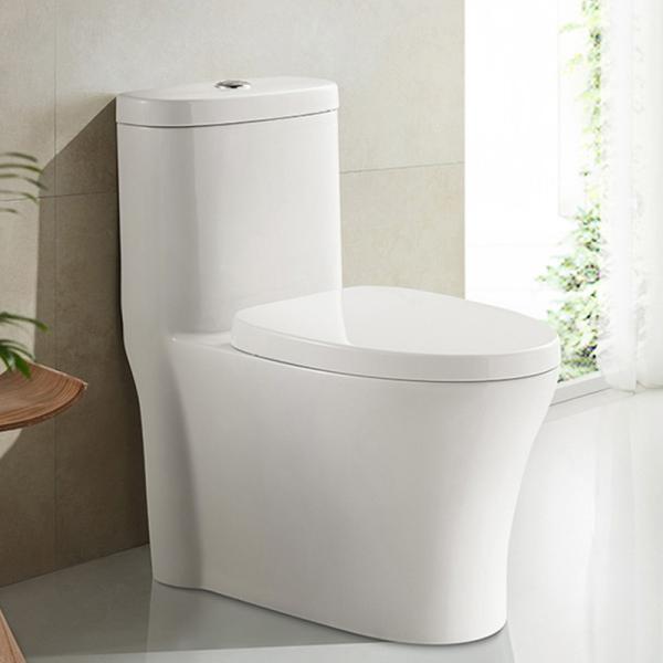 Um toalete padrão americano 0.8gpf 200 400mm nivelados duplos da altura do conforto da parte