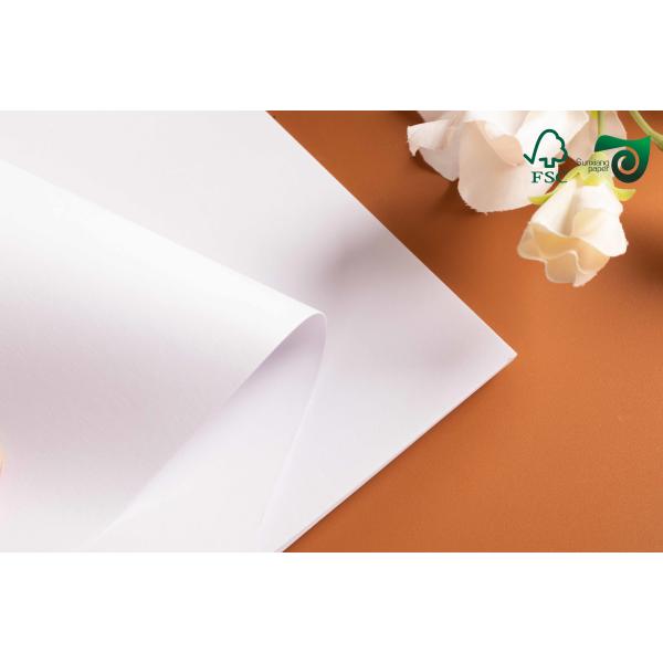 FSC 325gsm 37”25'' Food Grade Freezer Paper Roll Bleached White Coated Greaseproof