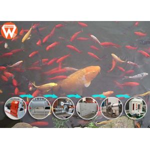 Planta de flutuação de naufrágio da alimentação dos peixes do T/H do rendimento 3-4 com a máquina giratória do pulverizador