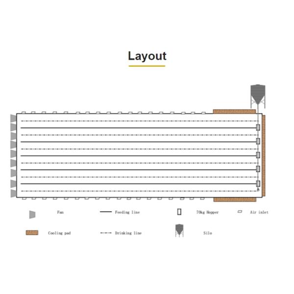Plastic Poultry Farm Equipment poultry feed line 1 Year Warranty