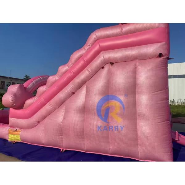 Popular Pink Inflatable Water Slide Commercial Adult Slide for Outdoor Amusement
