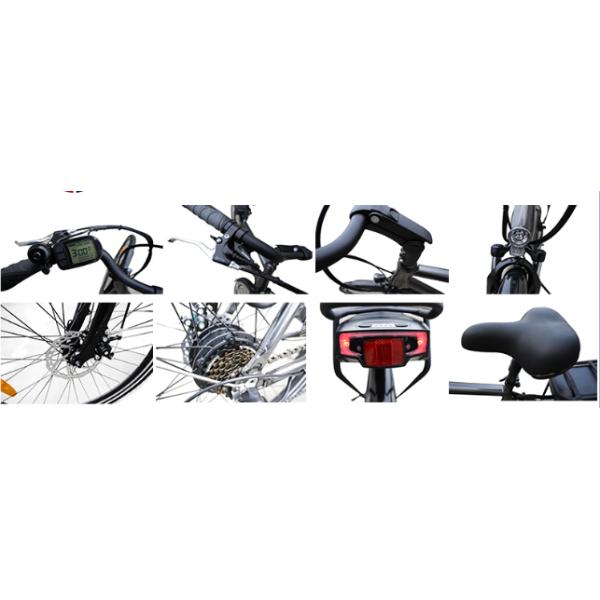 Обычные домочадец/горный велосипед Марс а Эбике тренировки для взрослого