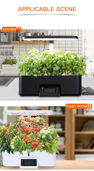 Electricity Powered Hydro Grow System , Smart Hydroponic Plant Pots For Indoor Farming