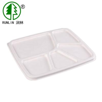 Bandejas biodegradáveis do alimento da cana-de-açúcar