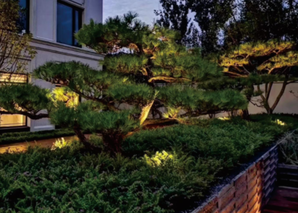 Projecteur léger directionnel en aluminium enduit de jardin de poudre avec la transitoire et la base d'ABS