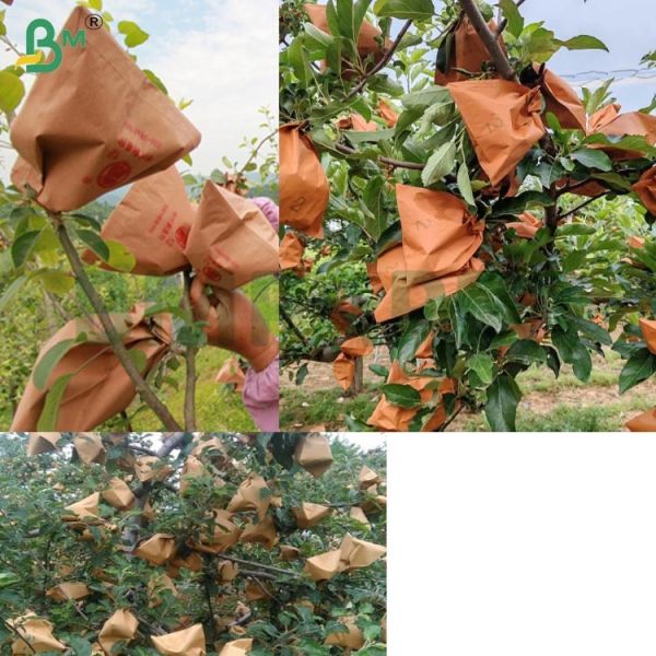 Red Outer Paper Fruit Packaging Paper For Wrapping Apples, 56gsm Non-Waxed Apple Bagging Paper