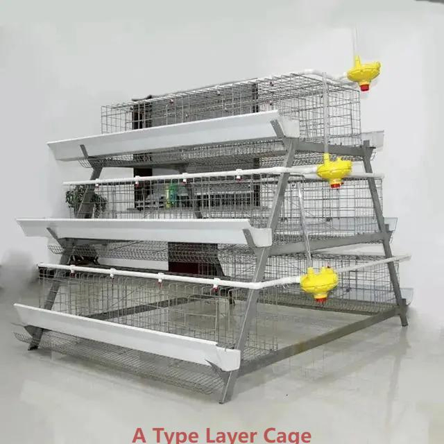 Space Saving Poultry Farm Layer Cage System , A Frame Battery Cages For Laying Hens