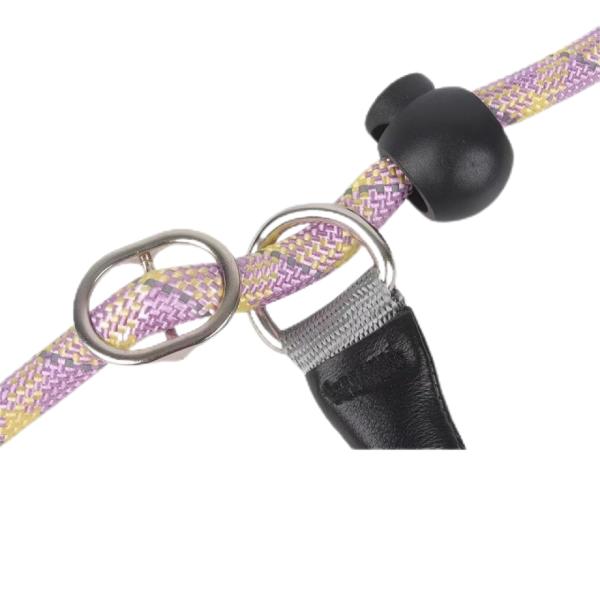 Sessões de Treinamento de Cadeia de Cães à Prova de Explosão de Alta Segurança