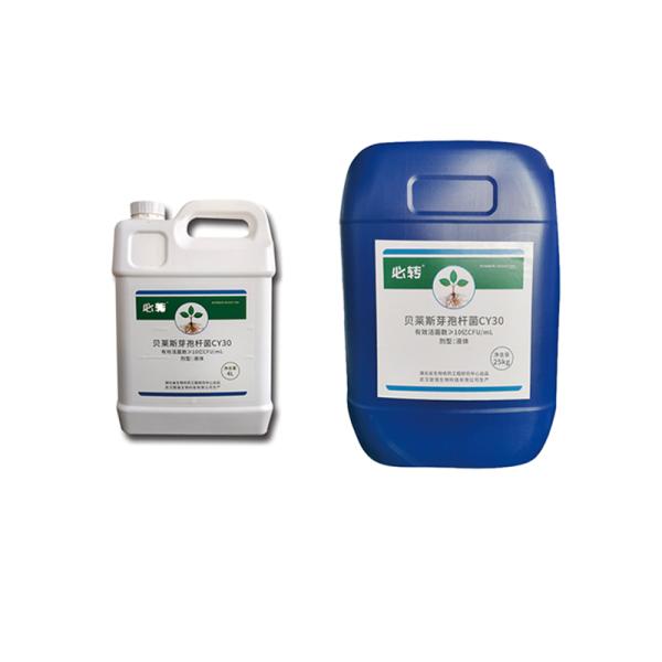 Удобрение CY30 Bacillus Velezensis Cure Crop Black Spot Pear Fungicide Ржавчина груши